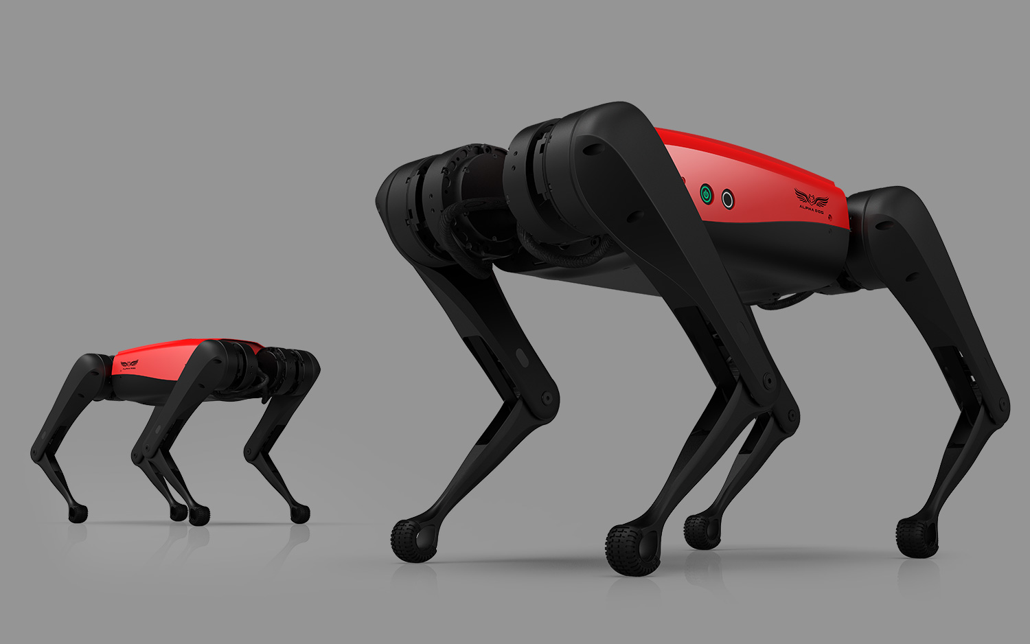 alphadog_c_01.jpg
